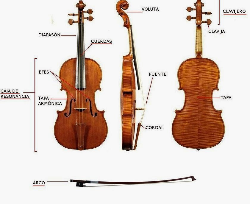 accesorios para el violin