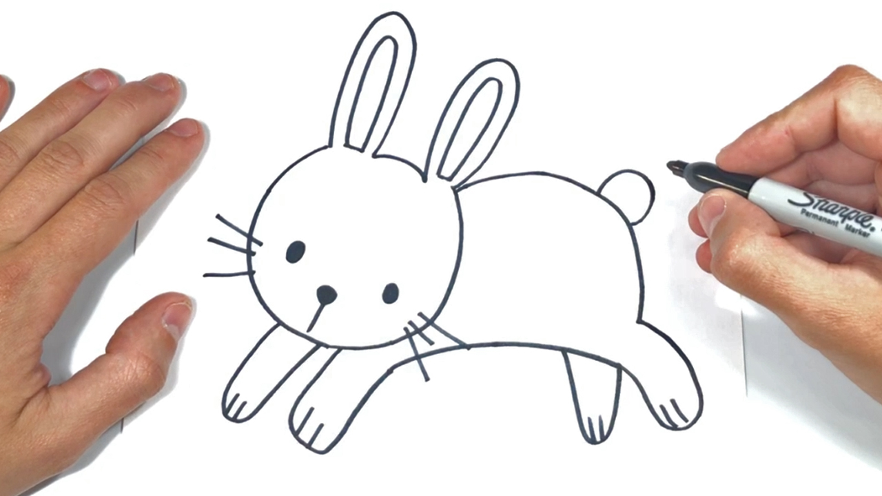 Dibujar conejo