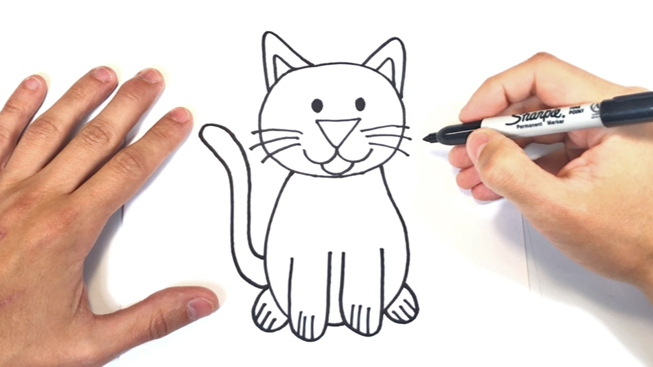 Como dibujar un Gato